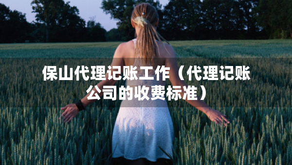 保山代理记账工作（代理记账公司的收费标准）