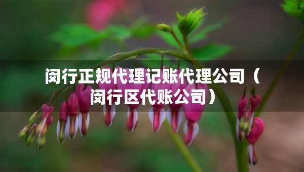 闵行正规代理记账代理公司（闵行区代账公司）