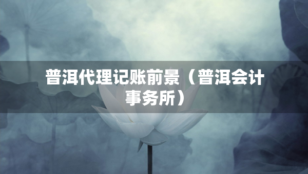 普洱代理记账前景（普洱会计事务所）