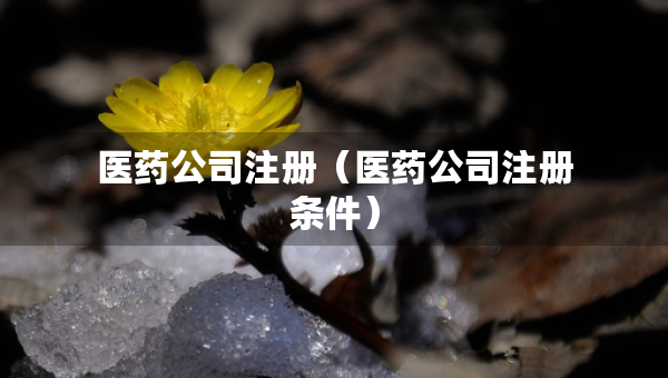 医药公司注册（医药公司注册条件）