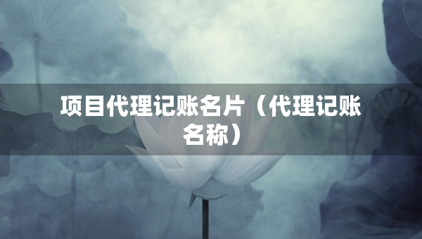 项目代理记账名片（代理记账名称）