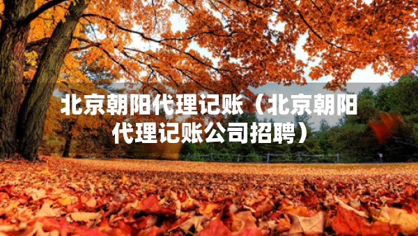 北京朝阳代理记账（北京朝阳代理记账公司招聘）