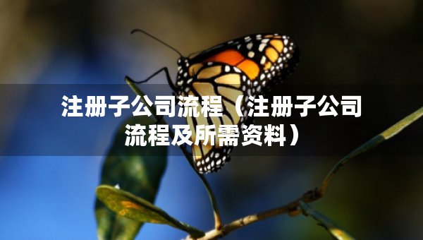 注册子公司流程（注册子公司流程及所需资料）