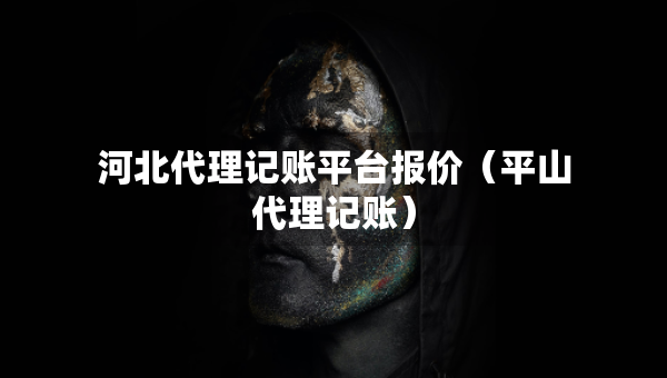 河北代理记账平台报价（平山代理记账）