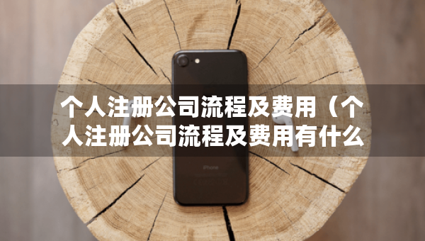 个人注册公司流程及费用（个人注册公司流程及费用有什么规定）
