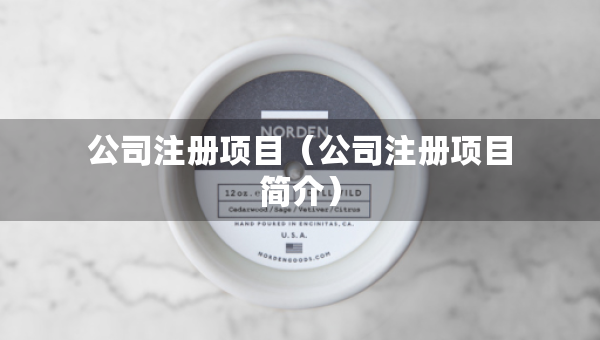 公司注册项目（公司注册项目简介）