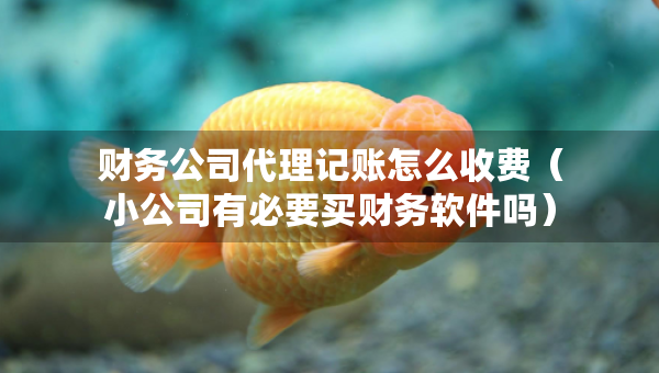 财务公司代理记账怎么收费（小公司有必要买财务软件吗）