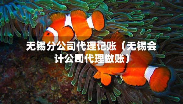 无锡分公司代理记账（无锡会计公司代理做账）