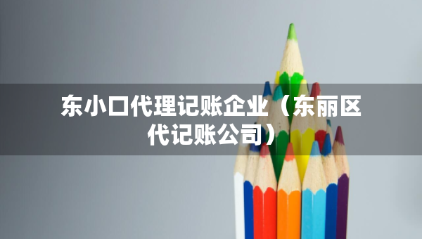 东小口代理记账企业（东丽区代记账公司）