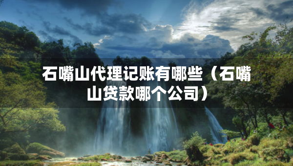 石嘴山代理记账有哪些（石嘴山贷款哪个公司）