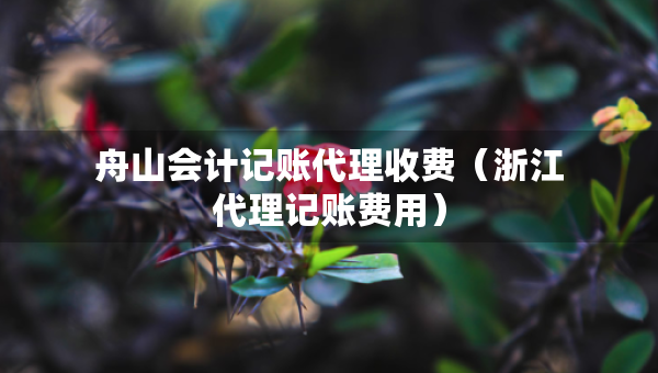 舟山会计记账代理收费（浙江代理记账费用）