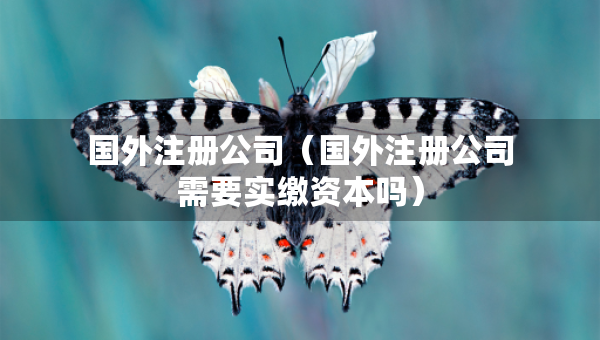 国外注册公司（国外注册公司需要实缴资本吗）