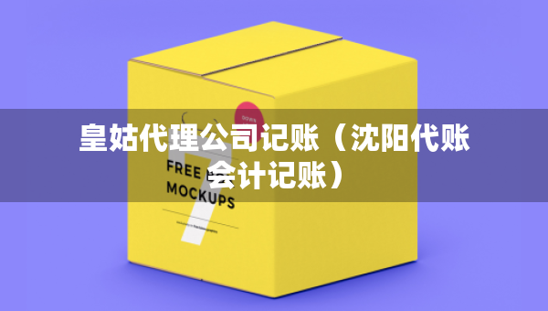 皇姑代理公司记账（沈阳代账会计记账）