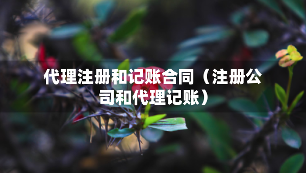 代理注册和记账合同（注册公司和代理记账）