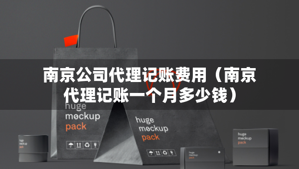 南京公司代理记账费用（南京代理记账一个月多少钱）