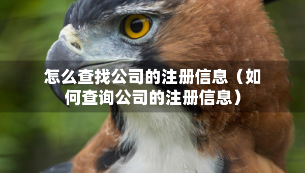 怎么查找公司的注册信息（如何查询公司的注册信息）
