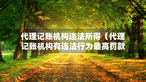 代理记账机构违法所得（代理记账机构有违法行为最高罚款）