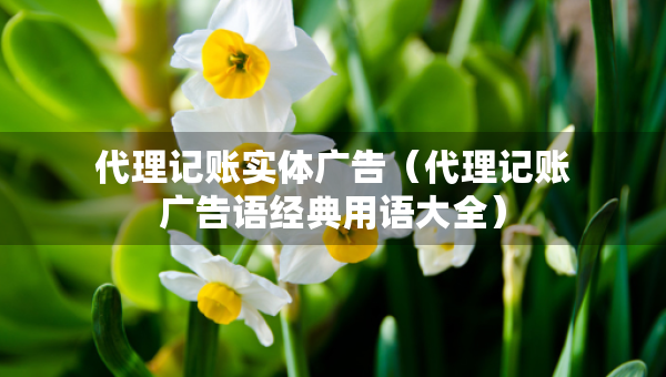 代理记账实体广告（代理记账广告语经典用语大全）