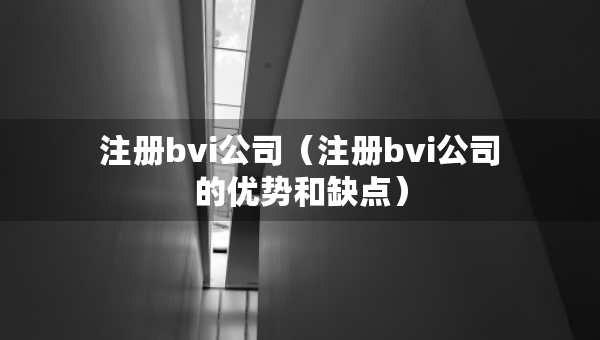注册bvi公司（注册bvi公司的优势和缺点）