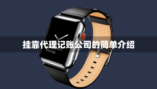 挂靠代理记账公司的简单介绍