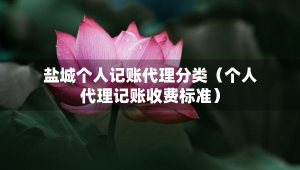 盐城个人记账代理分类（个人代理记账收费标准）