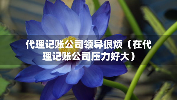 代理记账公司领导很烦（在代理记账公司压力好大）
