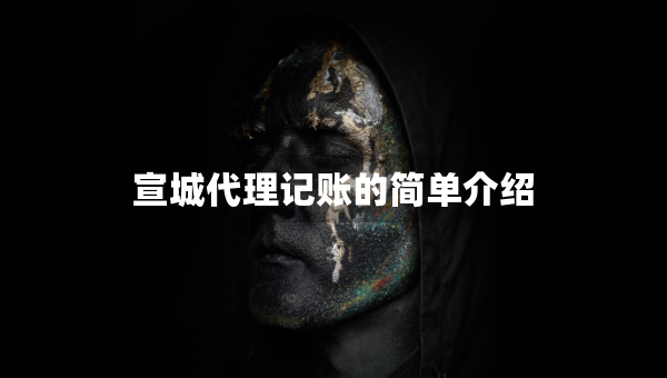 宣城代理记账的简单介绍