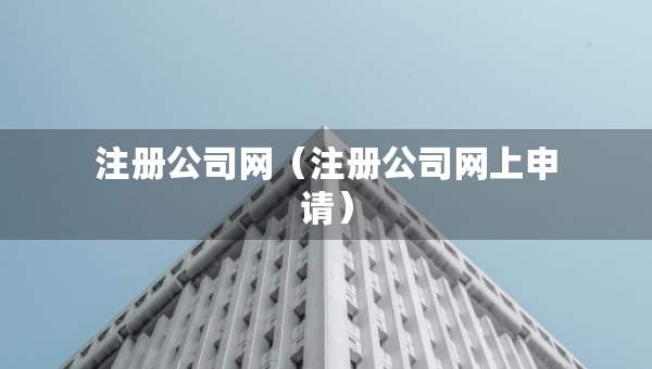 注册公司网（注册公司网上申请）