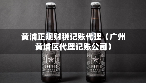 黄浦正规财税记账代理（广州黄埔区代理记账公司）