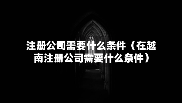 注册公司需要什么条件（在越南注册公司需要什么条件）