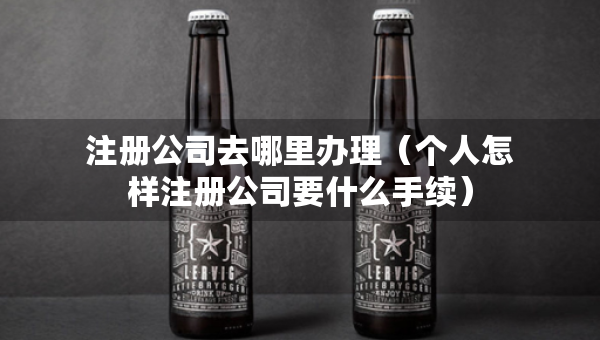 注册公司去哪里办理（个人怎样注册公司要什么手续）