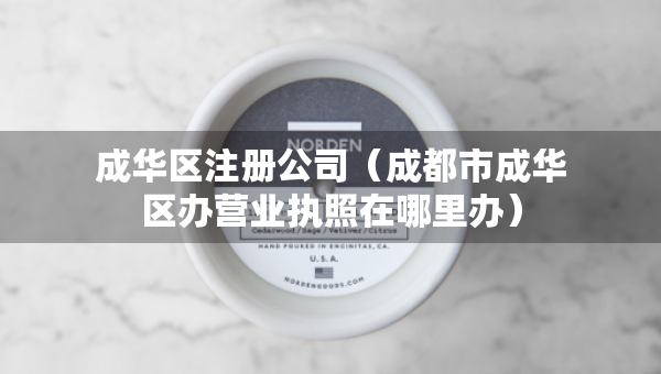 成华区注册公司（成都市成华区办营业执照在哪里办）