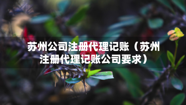 苏州公司注册代理记账（苏州注册代理记账公司要求）