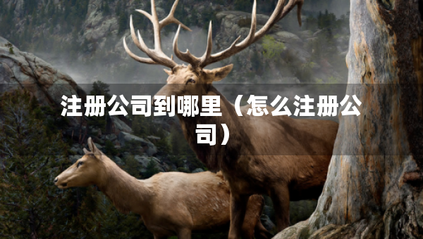 注册公司到哪里（怎么注册公司）