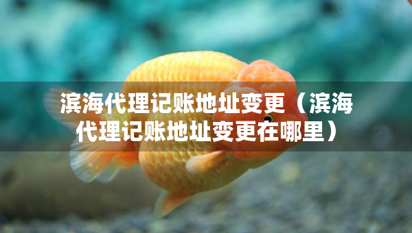 滨海代理记账地址变更（滨海代理记账地址变更在哪里）