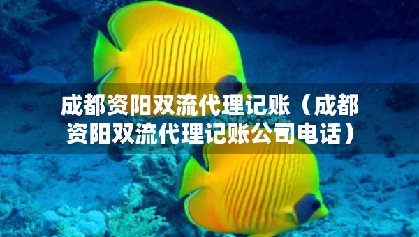 成都资阳双流代理记账（成都资阳双流代理记账公司电话）