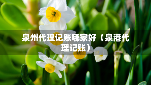 泉州代理记账哪家好（泉港代理记账）