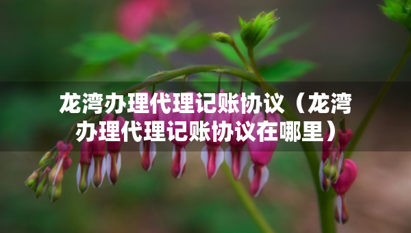 龙湾办理代理记账协议（龙湾办理代理记账协议在哪里）