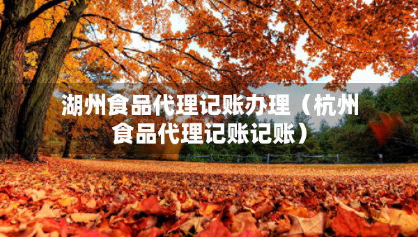 湖州食品代理记账办理（杭州食品代理记账记账）
