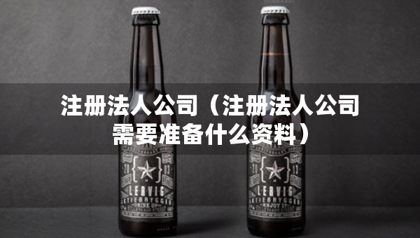 注册法人公司（注册法人公司需要准备什么资料）