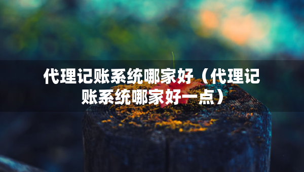 代理记账系统哪家好（代理记账系统哪家好一点）