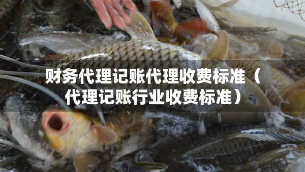 财务代理记账代理收费标准（代理记账行业收费标准）