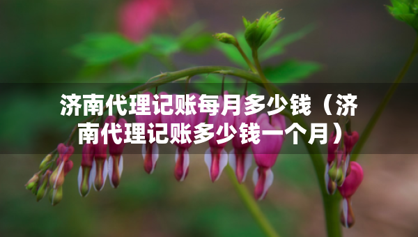 济南代理记账每月多少钱（济南代理记账多少钱一个月）