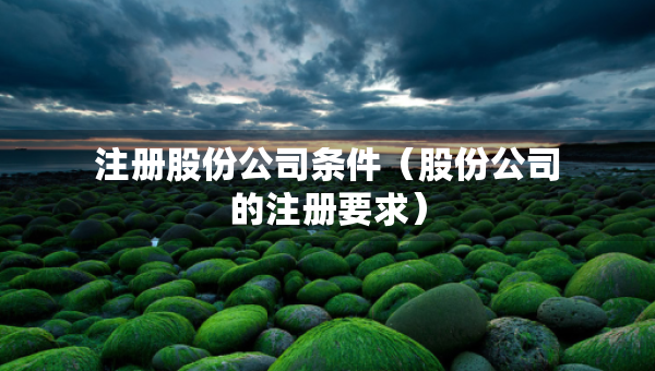 注册股份公司条件（股份公司的注册要求）