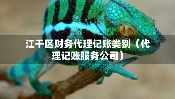江干区财务代理记账类别（代理记账服务公司）