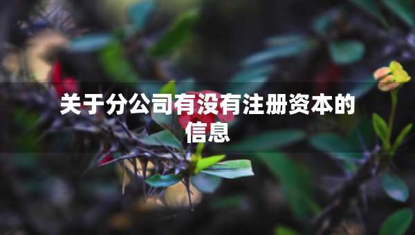 关于分公司有没有注册资本的信息