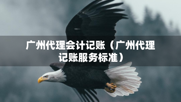 广州代理会计记账（广州代理记账服务标准）