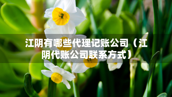 江阴有哪些代理记账公司（江阴代账公司联系方式）