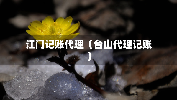 江门记账代理（台山代理记账）