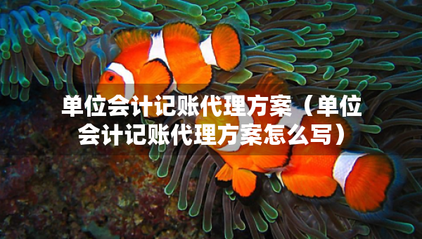 单位会计记账代理方案（单位会计记账代理方案怎么写）
